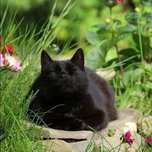 Meet your Posher, Jan